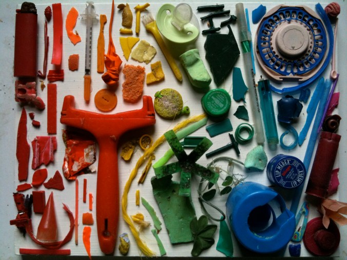 Found in 5 Minutes on Our Beach