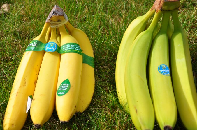 Organic/Non-organic, Plastic/no-plastic Organic/Non-organic, Plastic/no-plastic