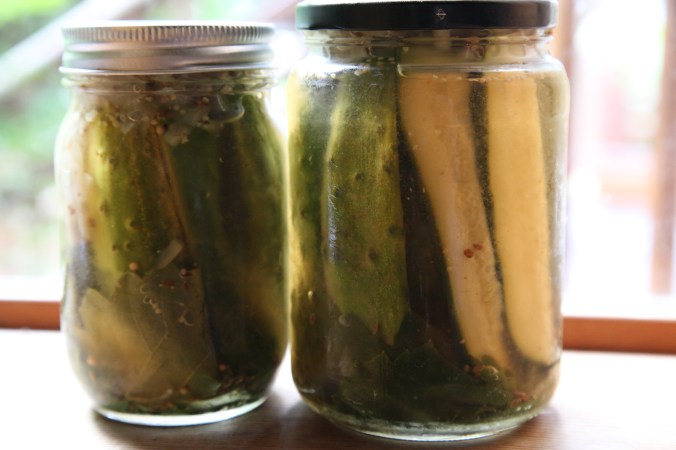 Organic Dill Pickles with Turbinado Sugar