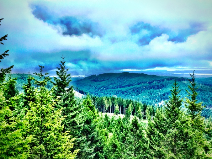 View From the Summit of Green Mountain. Summit #2, Kitsap County, WA. © Liesl Clark