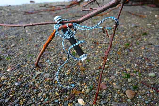 Water Skiing Anyone? © Liesl Clark