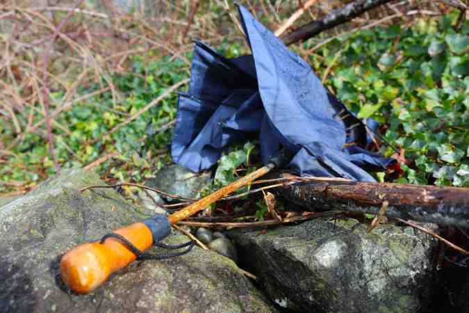 Landed Umbrella © Liesl Clark