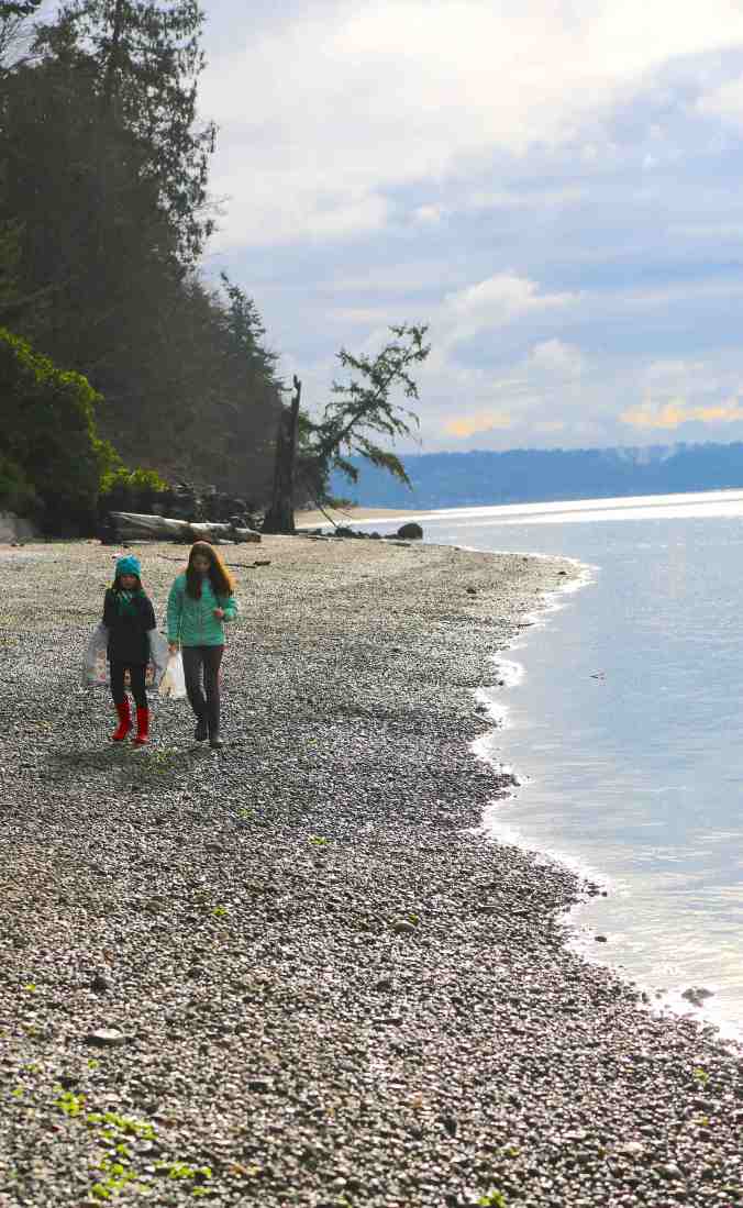 Bainbridge Island's Lost Coast. The Most Plastic-Free Stretch of Beach on the Island. © Liesl Clark