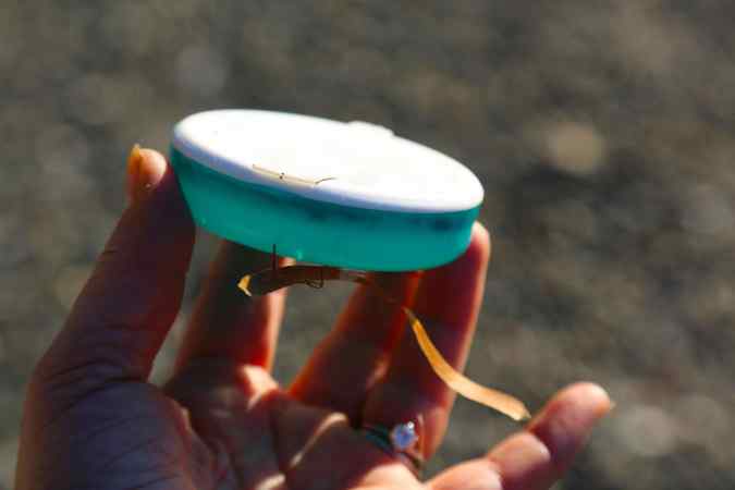 Kids love the mints (or is it gum?) that come in these plastic containers. Why do they have to be packaged in a container that will remain here forever? © Liesl Clark