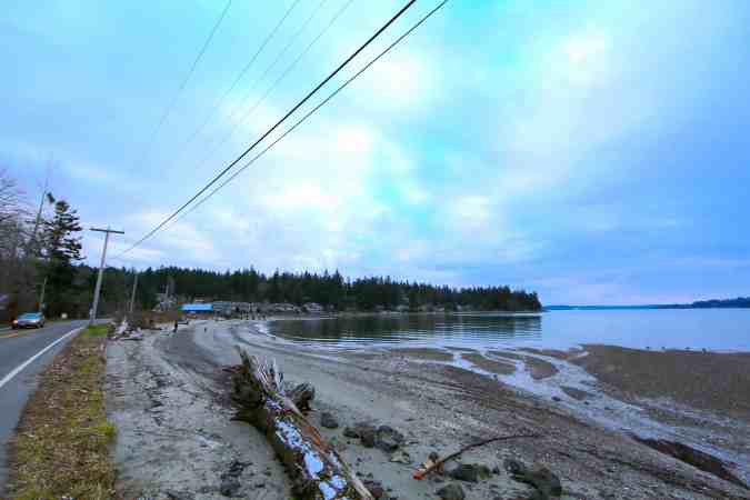 The Power Lines That Separate The Nesting Grounds From the Bay © Liesl Clark