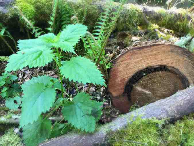 JPEG image-B6107D265C7F-1