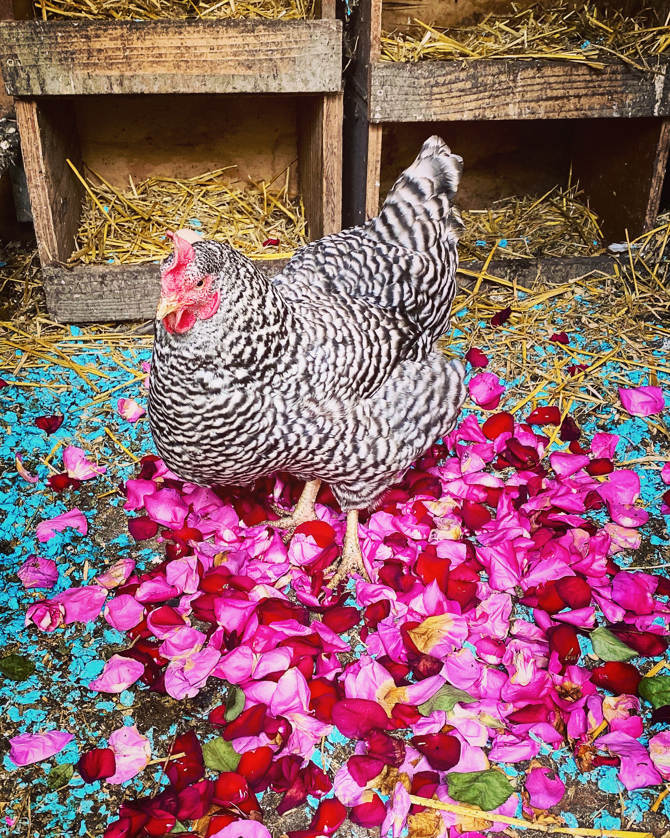 EAFEC7D3-344D-4262-9130-E5E2D45C3423